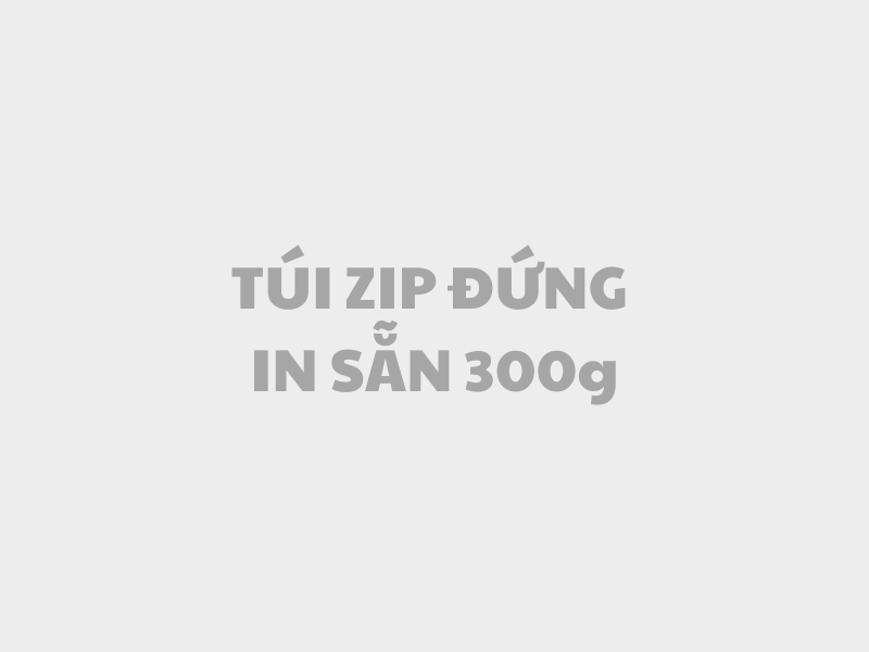 Túi zipper dạng đứng in ấn - 300g