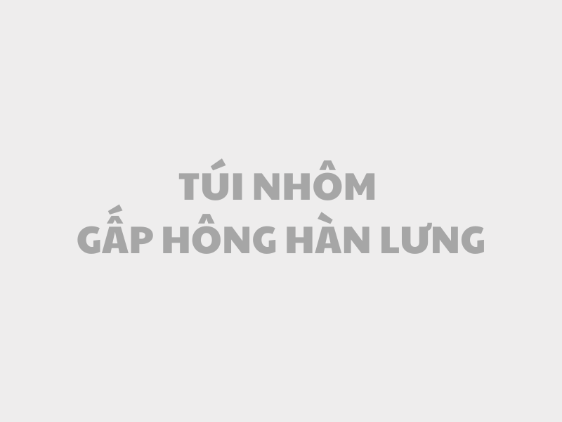 Túi nhôm gấp hông hàn lưng 